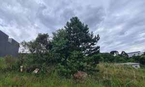 Terreno com 390m², Nao suíte, no bairro Centro em Marau