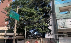 Oportunidade de Negócio com 750m², Nao suíte, no bairro Centro em Passo Fundo