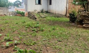 Oportunidade de Negócio com 750m², Nao suíte, no bairro Centro em Passo Fundo