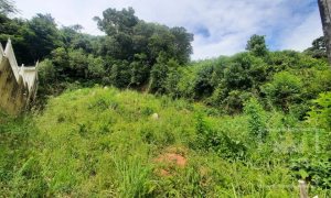 Terreno com 435m², Nao suíte, no bairro Guadalupe em Marau