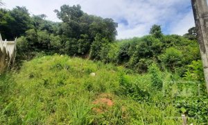 Terreno com 435m², Nao suíte, no bairro Guadalupe em Marau