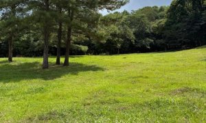 Sítio com 17000m², Nao suíte, no bairro Loteamento Residencial Cidade Nova em Marau