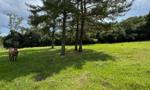 Sítio com 17000m², Nao suíte, no bairro Loteamento Residencial Cidade Nova em Marau