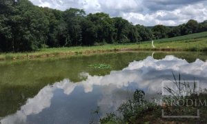 Sítio com 14000m², Nao suíte, no bairro Interior em Marau