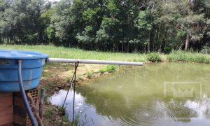 Sítio com 14000m², Nao suíte, no bairro Interior em Marau