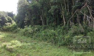 Sítio com 14000m², Nao suíte, no bairro Interior em Marau