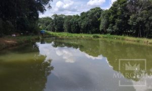 Sítio com 14000m², Nao suíte, no bairro Interior em Marau