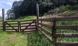 Sítio com 14000m², Nao suíte, no bairro Interior em Marau