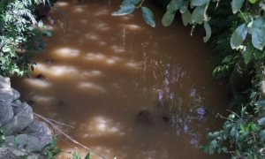 Sítio com 14000m², Nao suíte, no bairro Interior em Marau