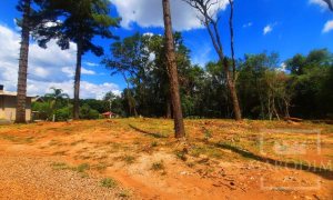 Área com 1200m², Nao suíte, no bairro Interior em Marau