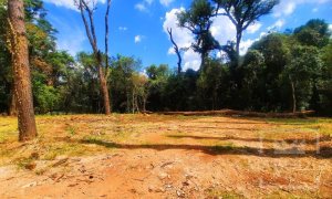 Área com 1200m², Nao suíte, no bairro Interior em Marau