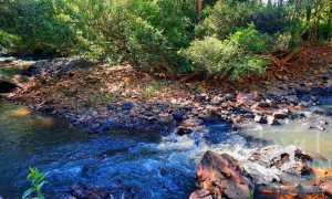 Sítio com 4695m², 2 dormitórios, Nao suíte, no bairro Interior em Marau