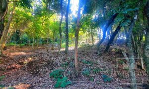 Sítio com 4695m², 2 dormitórios, Nao suíte, no bairro Interior em Marau