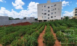 Terreno com 566m², Nao suíte, no bairro Jardim do Sol em Marau