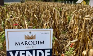 Terreno com 480m², Nao suíte, no bairro Santa Lucia em Marau