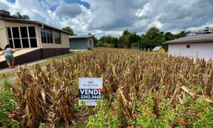 Terreno com 480m², Nao suíte, no bairro Santa Lucia em Marau