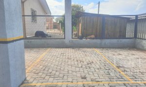 Apartamento com 47m², 2 dormitórios, Nao suíte, 1 vaga, no bairro Colinas Nova Marau em Marau