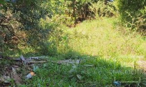 Casa com 69m², 3 dormitórios, Nao suíte, 2 vagas, no bairro Loteamento Jardim Betania em Marau