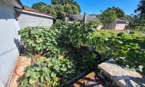 Casa com 63m², 2 dormitórios, Nao suíte, no bairro Gruta do Rio Marau em Marau