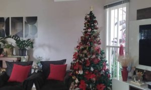 Casa com 150m², 4 dormitórios, Nao suíte, 2 vagas, no bairro Gruta do Rio Marau em Marau