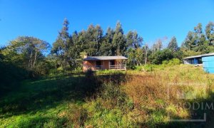 Área com 16300m², Nao suíte, no bairro Interior em Marau