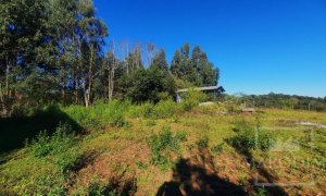 Área com 16300m², Nao suíte, no bairro Interior em Marau