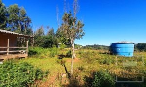 Área com 16300m², Nao suíte, no bairro Interior em Marau