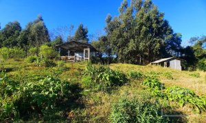 Área com 16300m², Nao suíte, no bairro Interior em Marau