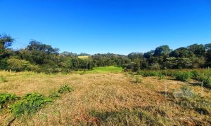 Área com 16300m², Nao suíte, no bairro Interior em Marau