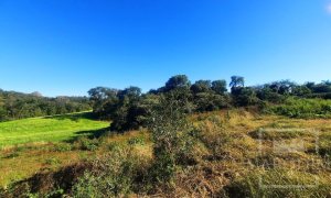 Área com 16300m², Nao suíte, no bairro Interior em Marau