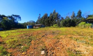 Área com 16300m², Nao suíte, no bairro Interior em Marau