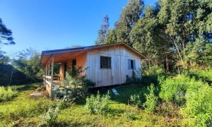 Área com 16300m², Nao suíte, no bairro Interior em Marau