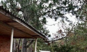 Sítio com 70m², 2 dormitórios, Nao suíte, no bairro Interior em Marau