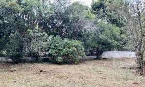 Sítio com 70m², 2 dormitórios, Nao suíte, no bairro Interior em Marau