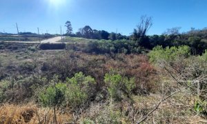 Terreno com 305m², Nao suíte, no bairro Loteamento Residencial Luiza Breda em Marau