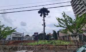 Terreno com 335m², Nao suíte, no bairro Centro em Marau