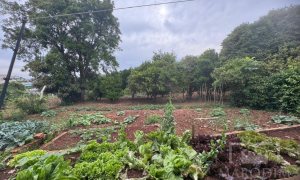 Casa com 240m², 4 dormitórios, Nao suíte, no bairro Santa Lucia em Marau