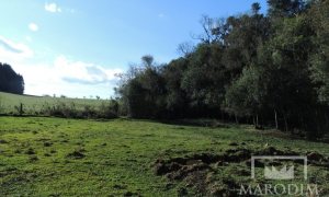 Sítio com 2212m², Nao suíte, no bairro Interior em Marau