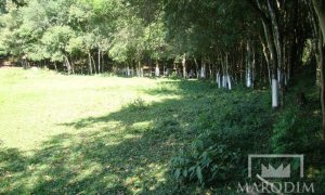Sítio com 2212m², Nao suíte, no bairro Interior em Marau