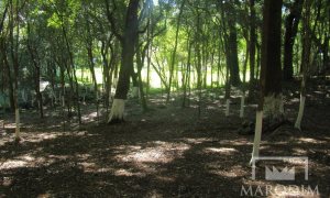 Sítio com 3200m², Nao suíte, no bairro Interior em Marau