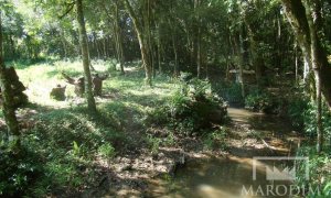 Sítio com 3200m², Nao suíte, no bairro Interior em Marau