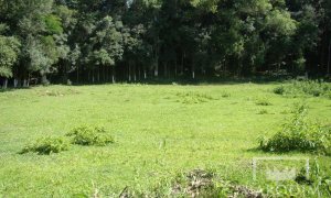 Sítio com 3200m², Nao suíte, no bairro Interior em Marau