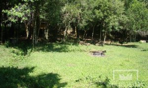 Sítio com 3200m², Nao suíte, no bairro Interior em Marau