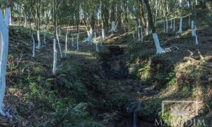 Sítio com 3200m², Nao suíte, no bairro Interior em Marau