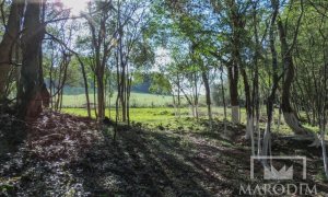 Sítio com 3200m², Nao suíte, no bairro Interior em Marau