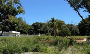 Terreno com 337m², Nao suíte, no bairro Borges de Medeiros em Marau