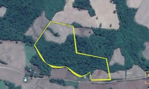 Terreno com 57347m², Nao suíte, no bairro Interior em Marau