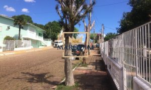 Terreno com 800m², Nao suíte, no bairro Progresso em Marau