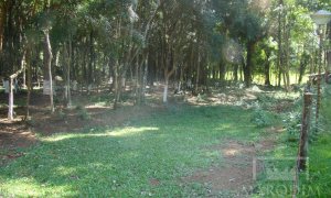 Sítio com 10000m², Nao suíte, no bairro Linha 25 em Marau