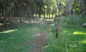 Sítio com 10000m², Nao suíte, no bairro Linha 25 em Marau